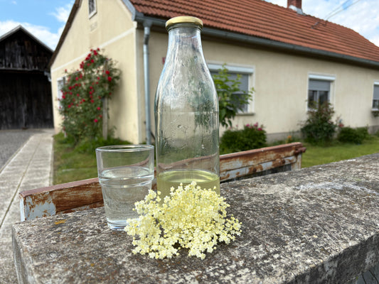 slovenian-elderflower-cordial-recipe.jpg