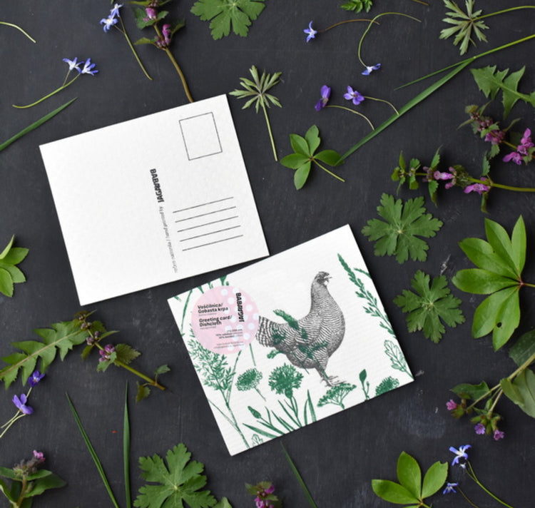 Eco-Friendly Sponge Cloth & Greeting Card