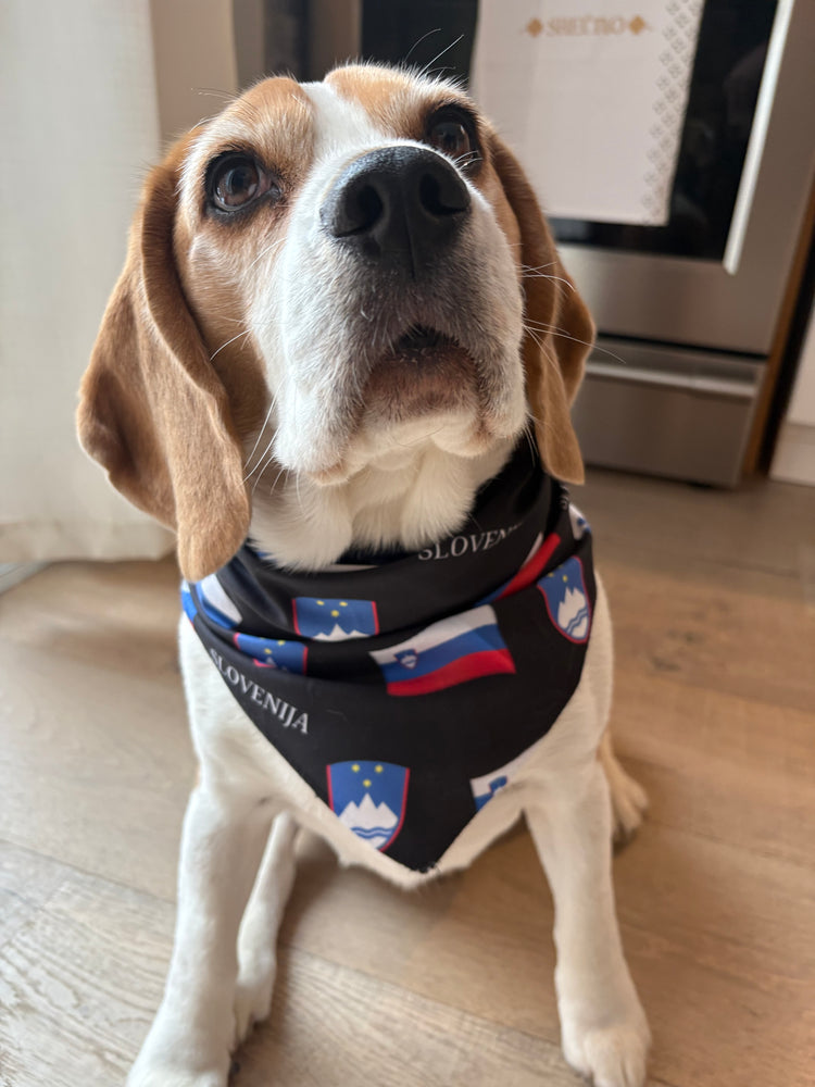 Slovenian Flag Dog Bandana – Slovenian Pet Accessory