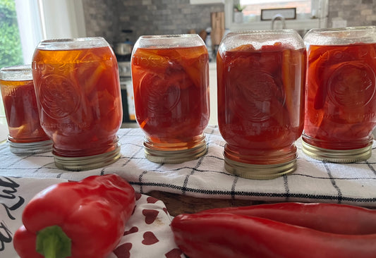 Vložena Rdeča Paprika | Pickled Red Peppers | Pickled Capsicum | Easy Slovenian Recipe