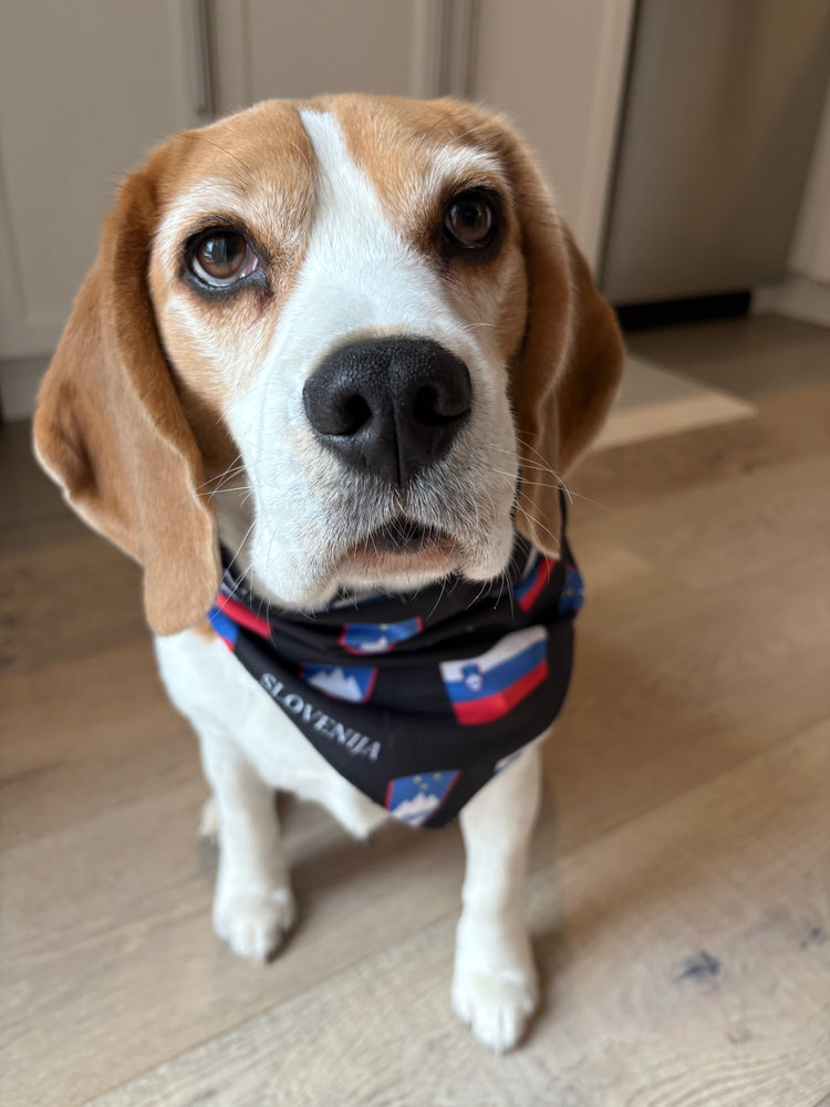 Slovenian Flag Dog Bandana – Slovenian Pet Accessory