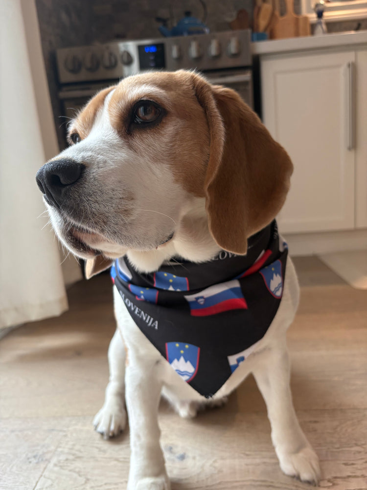 Slovenian Flag Dog Bandana – Slovenian Pet Accessory