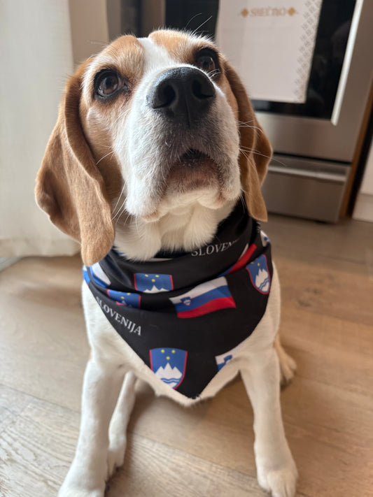 Slovenian Flag Dog Bandana – Slovenian Pet Accessory